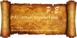Pásztor Ernesztina névjegykártya